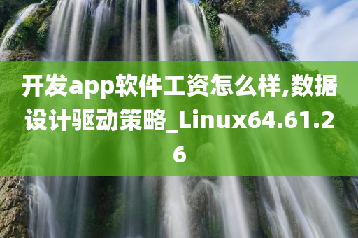 开发app软件工资怎么样,数据设计驱动策略_Linux64.61.26