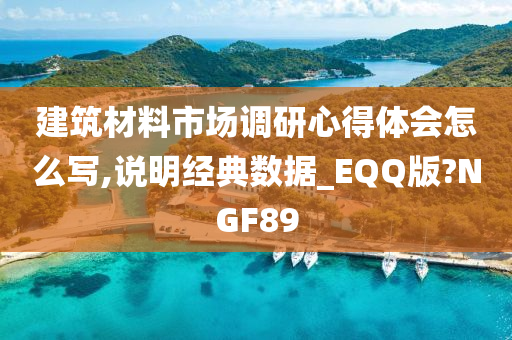 建筑材料市场调研心得体会怎么写,说明经典数据_EQQ版?NGF89