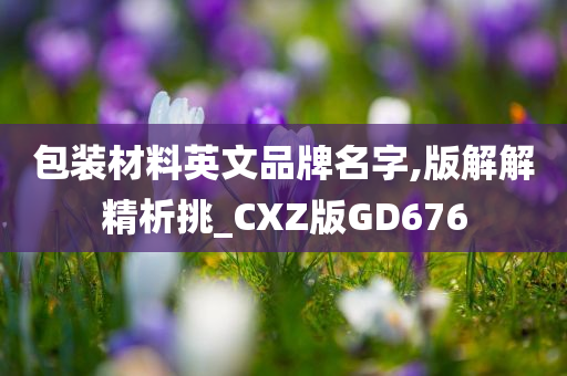 包装材料英文品牌名字,版解解精析挑_CXZ版GD676