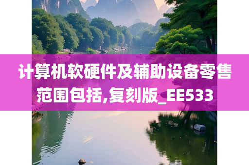 计算机软硬件及辅助设备零售范围包括,复刻版_EE533