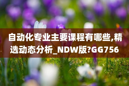 自动化专业主要课程有哪些,精选动态分析_NDW版?GG756