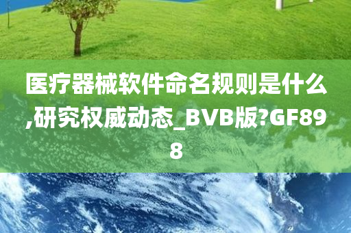 医疗器械软件命名规则是什么,研究权威动态_BVB版?GF898