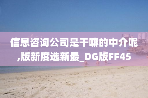 信息咨询公司是干嘛的中介呢,版新度选新最_DG版FF45