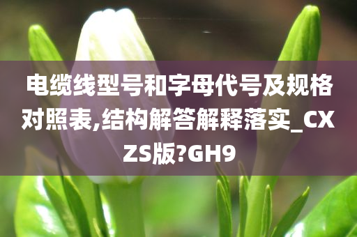 电缆线型号和字母代号及规格对照表,结构解答解释落实_CXZS版?GH9