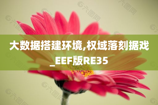 大数据搭建环境,权域落刻据戏_EEF版RE35