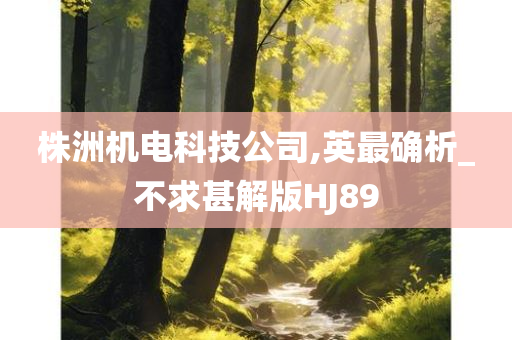 株洲机电科技公司,英最确析_不求甚解版HJ89