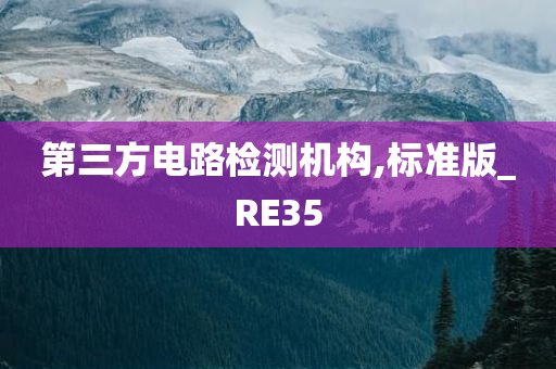 第三方电路检测机构,标准版_RE35