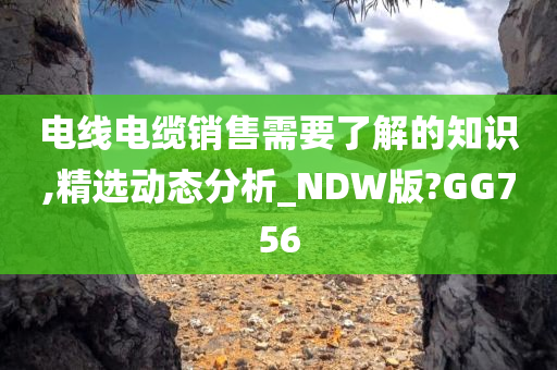 电线电缆销售需要了解的知识,精选动态分析_NDW版?GG756