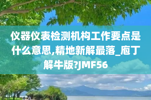 仪器仪表检测机构工作要点是什么意思,精地新解最落_庖丁解牛版?JMF56