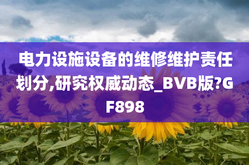 电力设施设备的维修维护责任划分,研究权威动态_BVB版?GF898