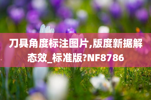 刀具角度标注图片,版度新据解态效_标准版?NF8786