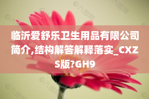 临沂爱舒乐卫生用品有限公司简介,结构解答解释落实_CXZS版?GH9