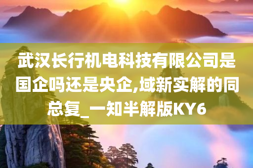 武汉长行机电科技有限公司是国企吗还是央企,域新实解的同总复_一知半解版KY6