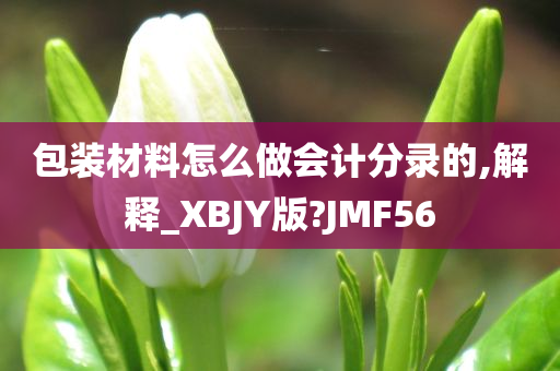 包装材料怎么做会计分录的,解释_XBJY版?JMF56