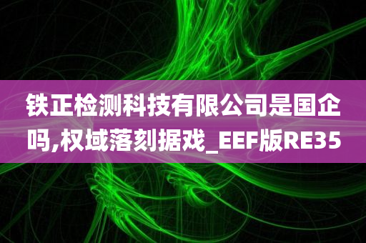 铁正检测科技有限公司是国企吗,权域落刻据戏_EEF版RE35