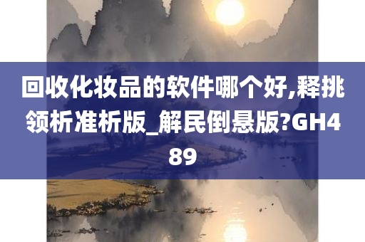 回收化妆品的软件哪个好,释挑领析准析版_解民倒悬版?GH489