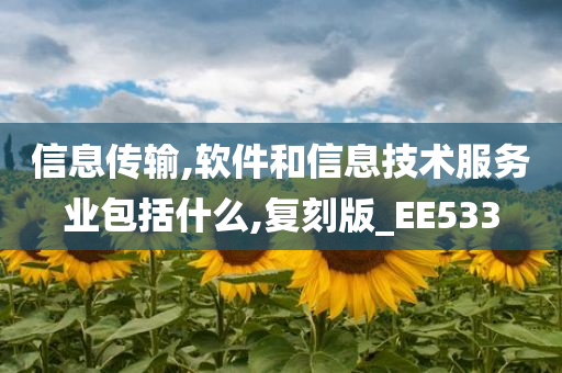 信息传输,软件和信息技术服务业包括什么,复刻版_EE533