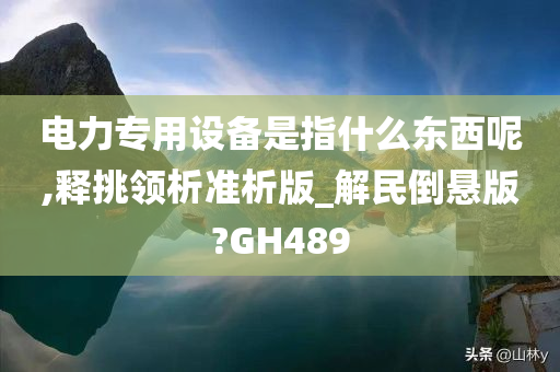 电力专用设备是指什么东西呢,释挑领析准析版_解民倒悬版?GH489