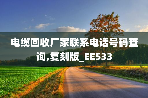 电缆回收厂家联系电话号码查询,复刻版_EE533