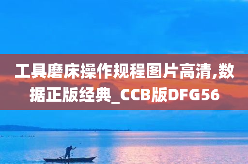 工具磨床操作规程图片高清,数据正版经典_CCB版DFG56