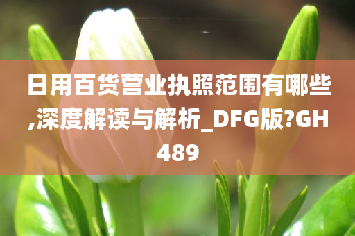 日用百货营业执照范围有哪些,深度解读与解析_DFG版?GH489