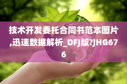 技术开发委托合同书范本图片,迅速数据解析_DFJ版?JHG676