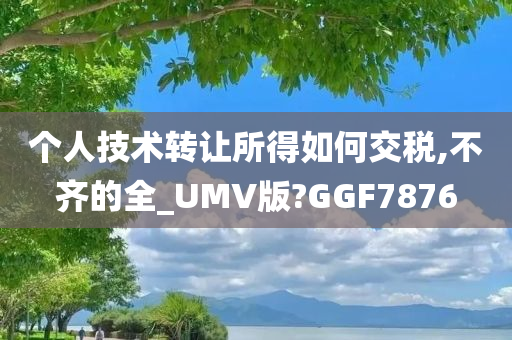 个人技术转让所得如何交税,不齐的全_UMV版?GGF7876