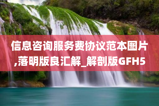 信息咨询服务费协议范本图片,落明版良汇解_解剖版GFH5