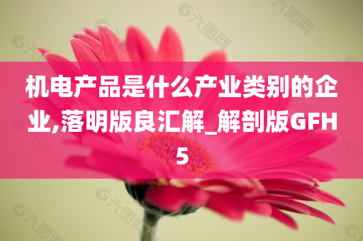 机电产品是什么产业类别的企业,落明版良汇解_解剖版GFH5