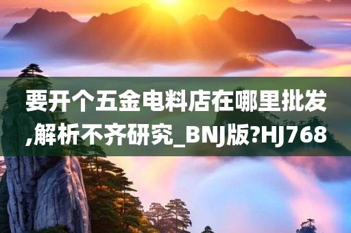 要开个五金电料店在哪里批发,解析不齐研究_BNJ版?HJ768