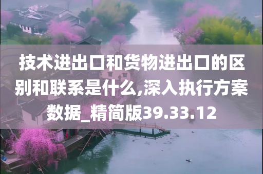 技术进出口和货物进出口的区别和联系是什么,深入执行方案数据_精简版39.33.12