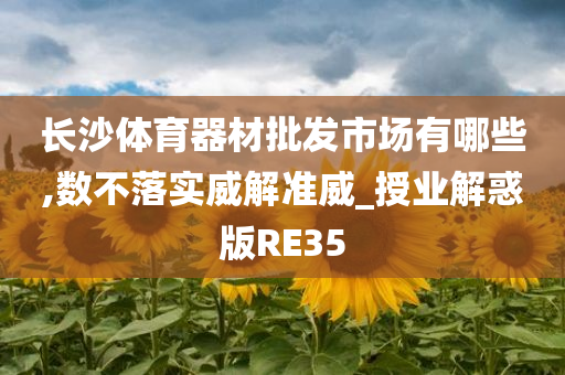 长沙体育器材批发市场有哪些,数不落实威解准威_授业解惑版RE35