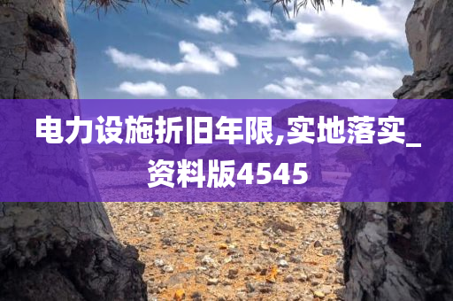 电力设施折旧年限,实地落实_资料版4545