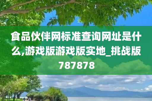 食品伙伴网标准查询网址是什么,游戏版游戏版实地_挑战版787878