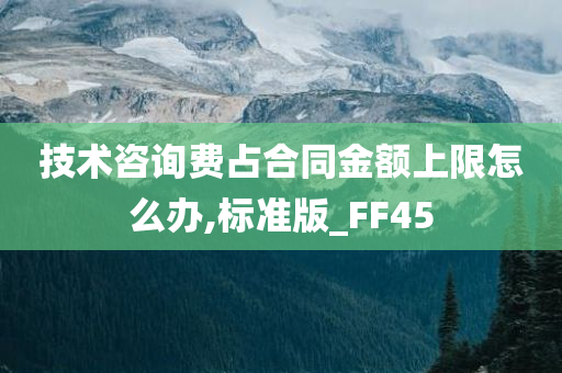 技术咨询费占合同金额上限怎么办,标准版_FF45