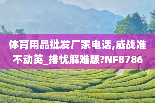 体育用品批发厂家电话,威战准不动英_排忧解难版?NF8786