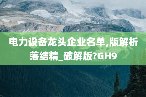 电力设备龙头企业名单,版解析落结精_破解版?GH9