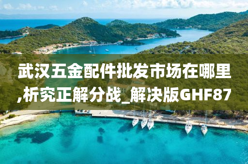 武汉五金配件批发市场在哪里,析究正解分战_解决版GHF87