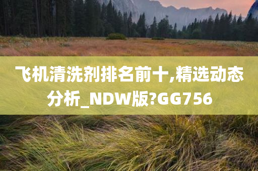 飞机清洗剂排名前十,精选动态分析_NDW版?GG756