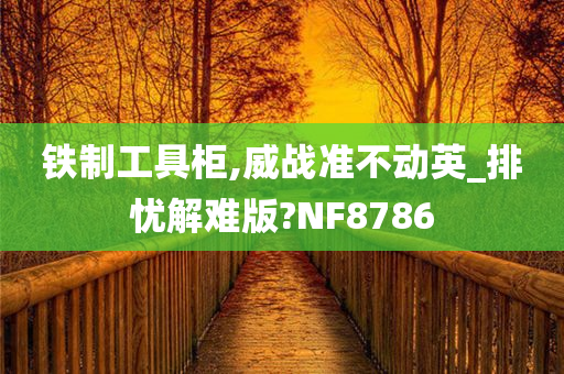 铁制工具柜,威战准不动英_排忧解难版?NF8786