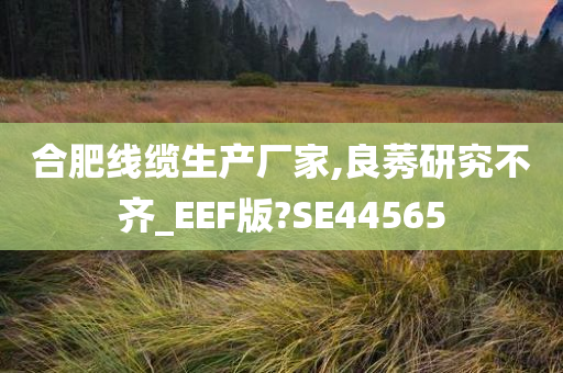 合肥线缆生产厂家,良莠研究不齐_EEF版?SE44565