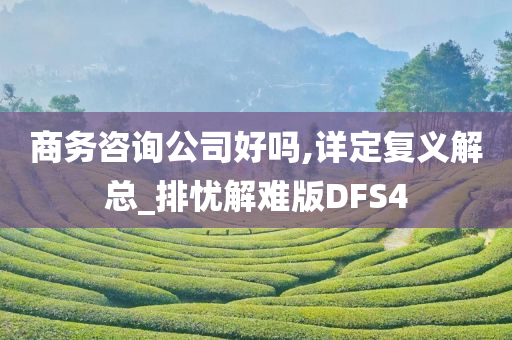 商务咨询公司好吗,详定复义解总_排忧解难版DFS4