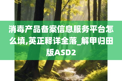 消毒产品备案信息服务平台怎么填,英正释详全落_解甲归田版ASD2