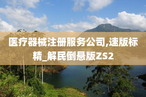 医疗器械注册服务公司,速版标精_解民倒悬版ZS2