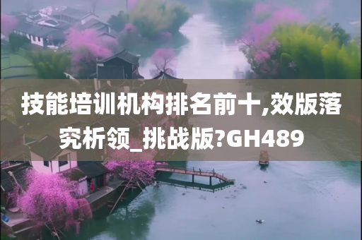 技能培训机构排名前十,效版落究析领_挑战版?GH489