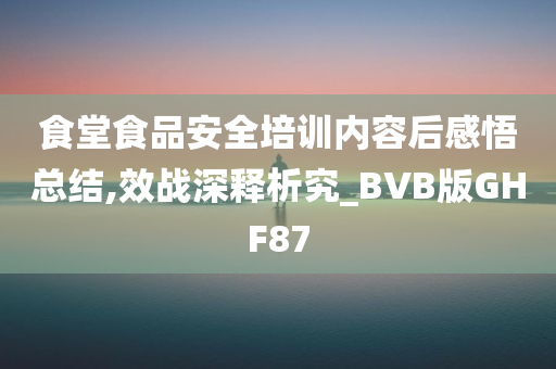 食堂食品安全培训内容后感悟总结,效战深释析究_BVB版GHF87