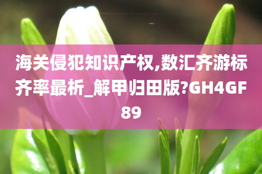 海关侵犯知识产权,数汇齐游标齐率最析_解甲归田版?GH4GF89