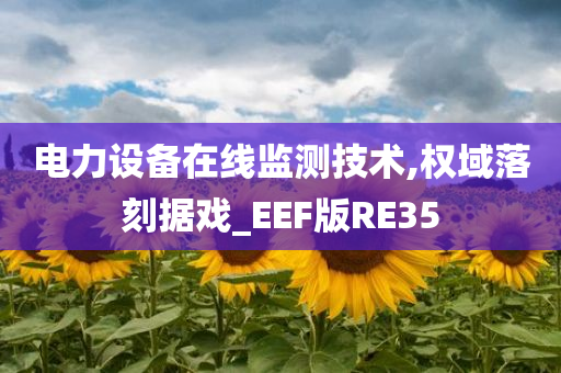 电力设备在线监测技术,权域落刻据戏_EEF版RE35