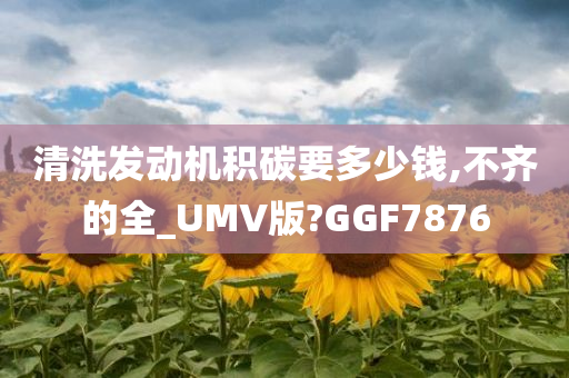 清洗发动机积碳要多少钱,不齐的全_UMV版?GGF7876