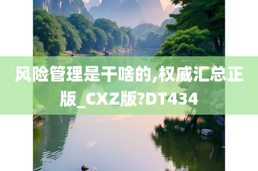 风险管理是干啥的,权威汇总正版_CXZ版?DT434